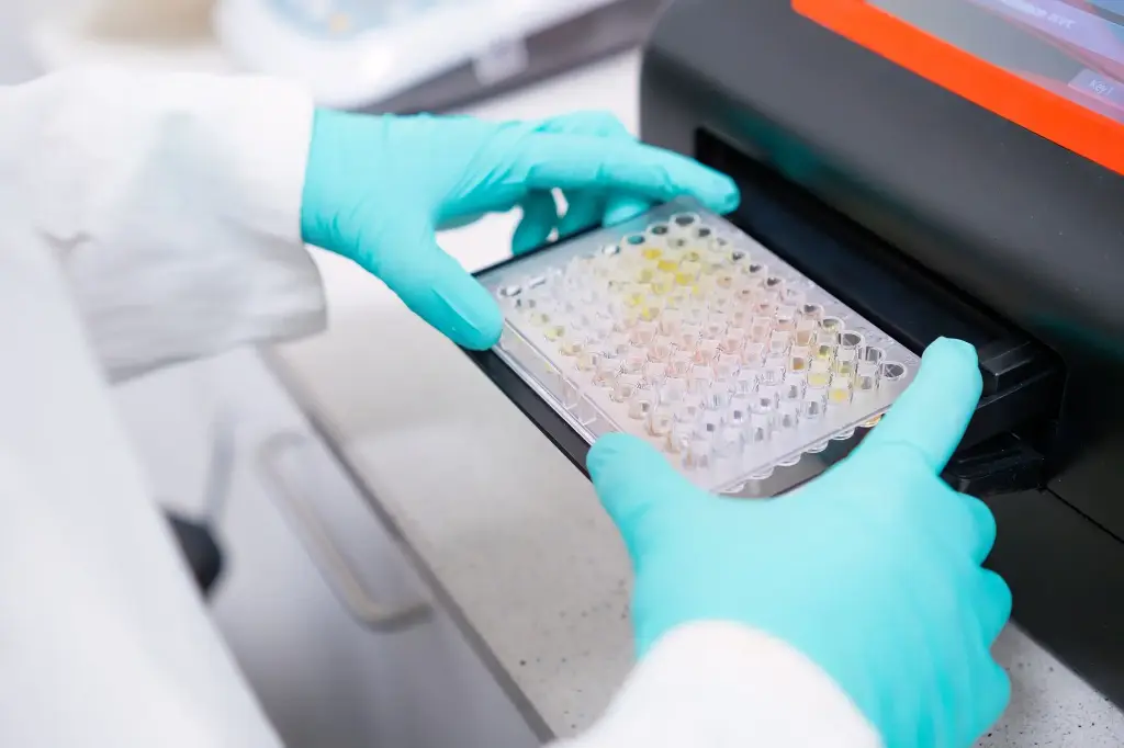 96-W SEMI-SKIRT 0.2ML PCR Plate, VLT Frame/CLR Wells