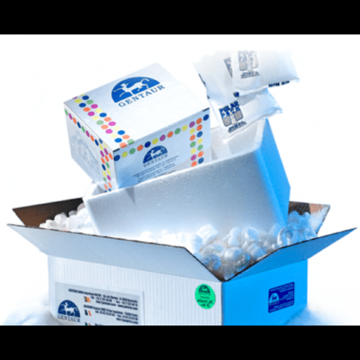 [LY-13335ES24] Hieff NGS® Primer Mix for Illumina®-24T